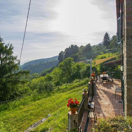 Petrognano  Casa Serenaヴィラ エクステリア 写真