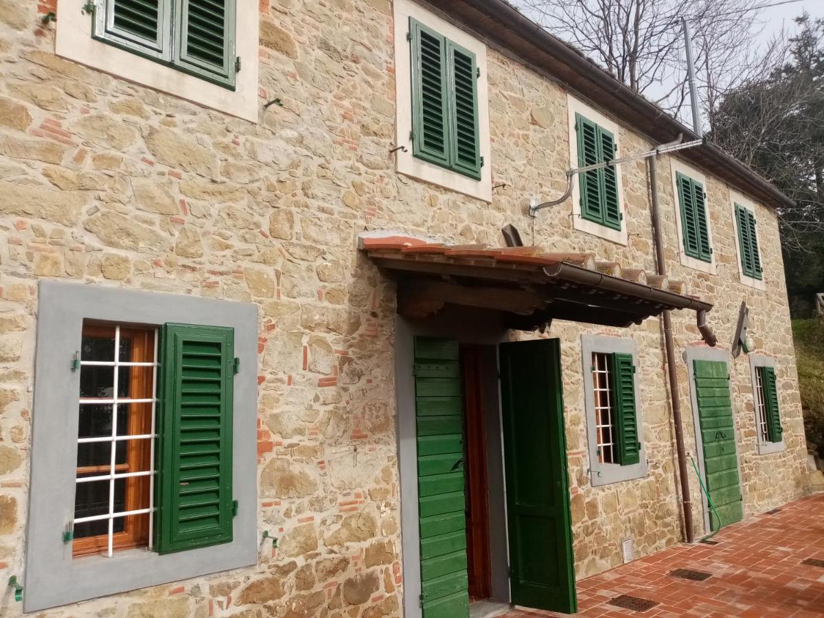 Petrognano  Casa Serenaヴィラ エクステリア 写真
