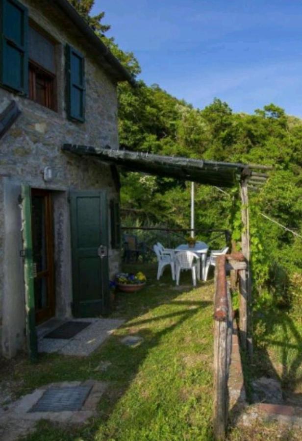 Petrognano  Casa Serenaヴィラ エクステリア 写真