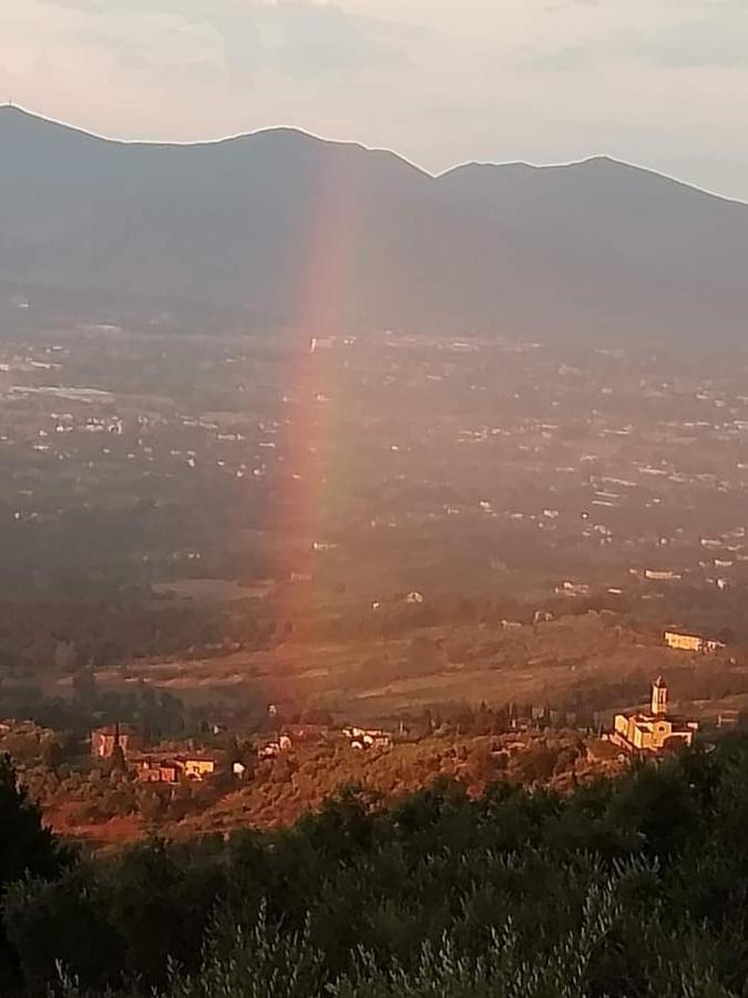 Petrognano  Casa Serenaヴィラ エクステリア 写真