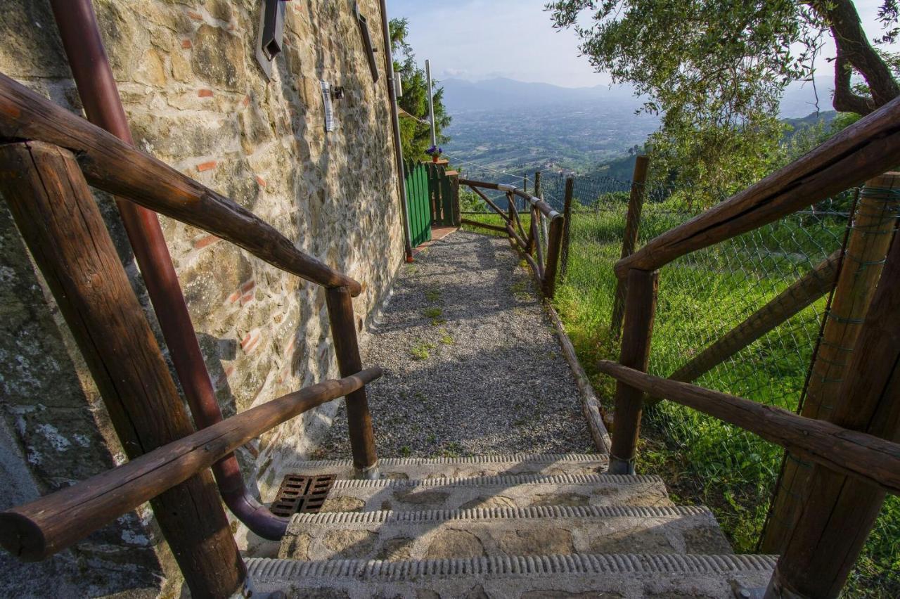 Petrognano  Casa Serenaヴィラ エクステリア 写真