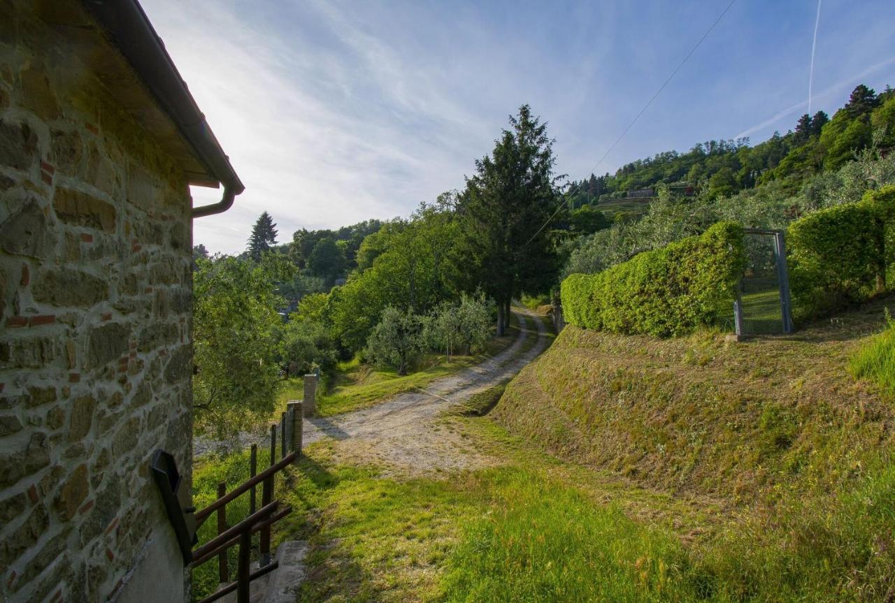 Petrognano  Casa Serenaヴィラ エクステリア 写真