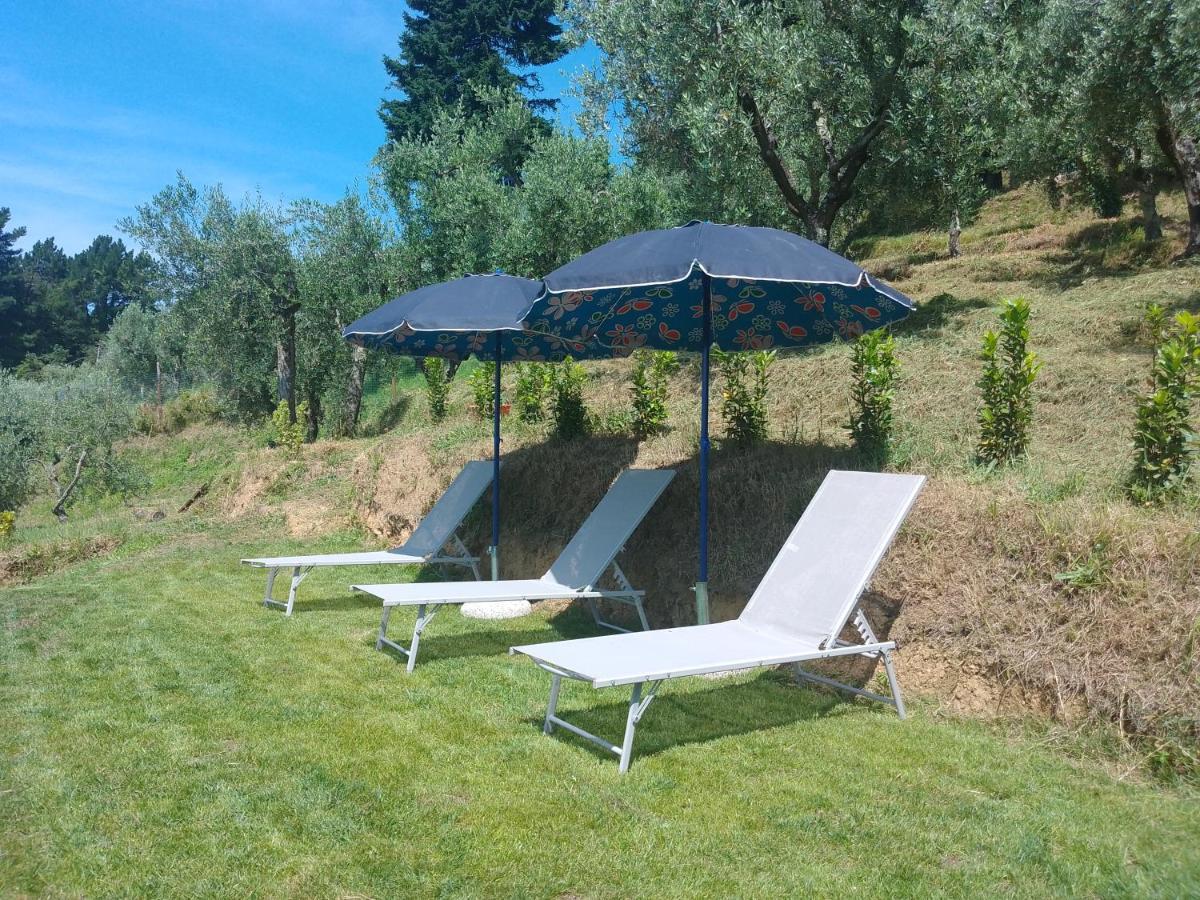 Petrognano  Casa Serenaヴィラ エクステリア 写真